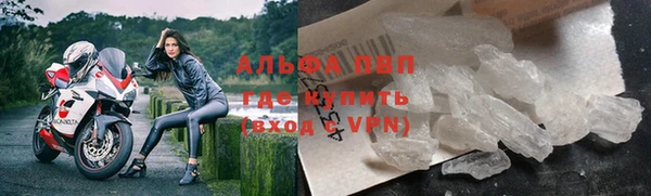 дживик Новозыбков