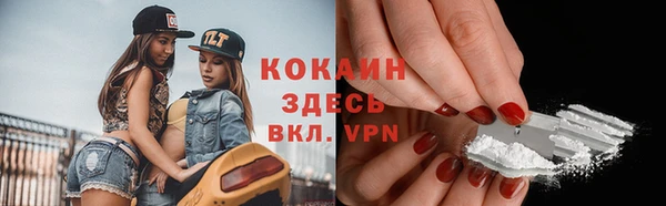 дживик Новозыбков