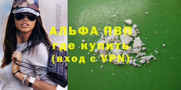 дживик Новозыбков