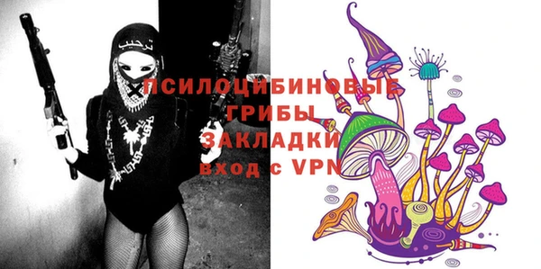 дживик Новозыбков