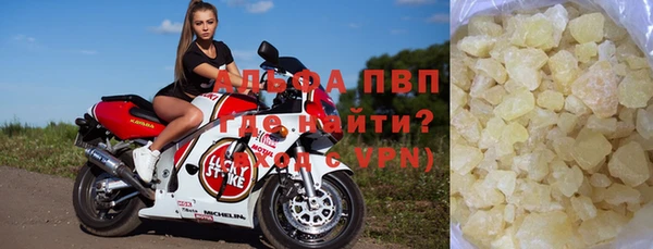 дживик Новозыбков