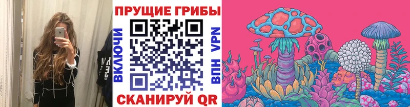 Галлюциногенные грибы прущие грибы  darknet формула  Отрадная 